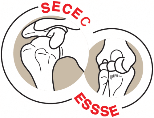 SESEC
